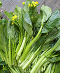 Premium Choy Sum (Choi Sum) Vegetable Seeds – 5000 Fast-Growing, Non-GMO Seeds