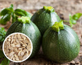 Green Round Zucchini Vegetable Seeds (10 Seeds) – Compact, High-Yield, Sweet and Tender Squash Variety