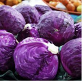 Purple Red Repolyo (Cabbage) Seeds – 100 Seeds | Colorful, Crisp, High-Yield Variety