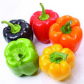 Rainbow Bell Pepper Vegetable Seeds – 100 Premium Seeds