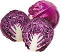 Premium Purple Repolyo Seeds 100pcs – Fast Growing Heirloom Cabbage