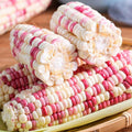 Vegetable Seeds – Rainbow Waxy Corn, 30 Seeds | Multicolored, Tender, Chewy