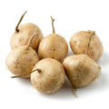 Singkamas (Jicama) Vegetable Seeds – 20 Seeds | High-Germination, Fast-Growing Filipino Variety