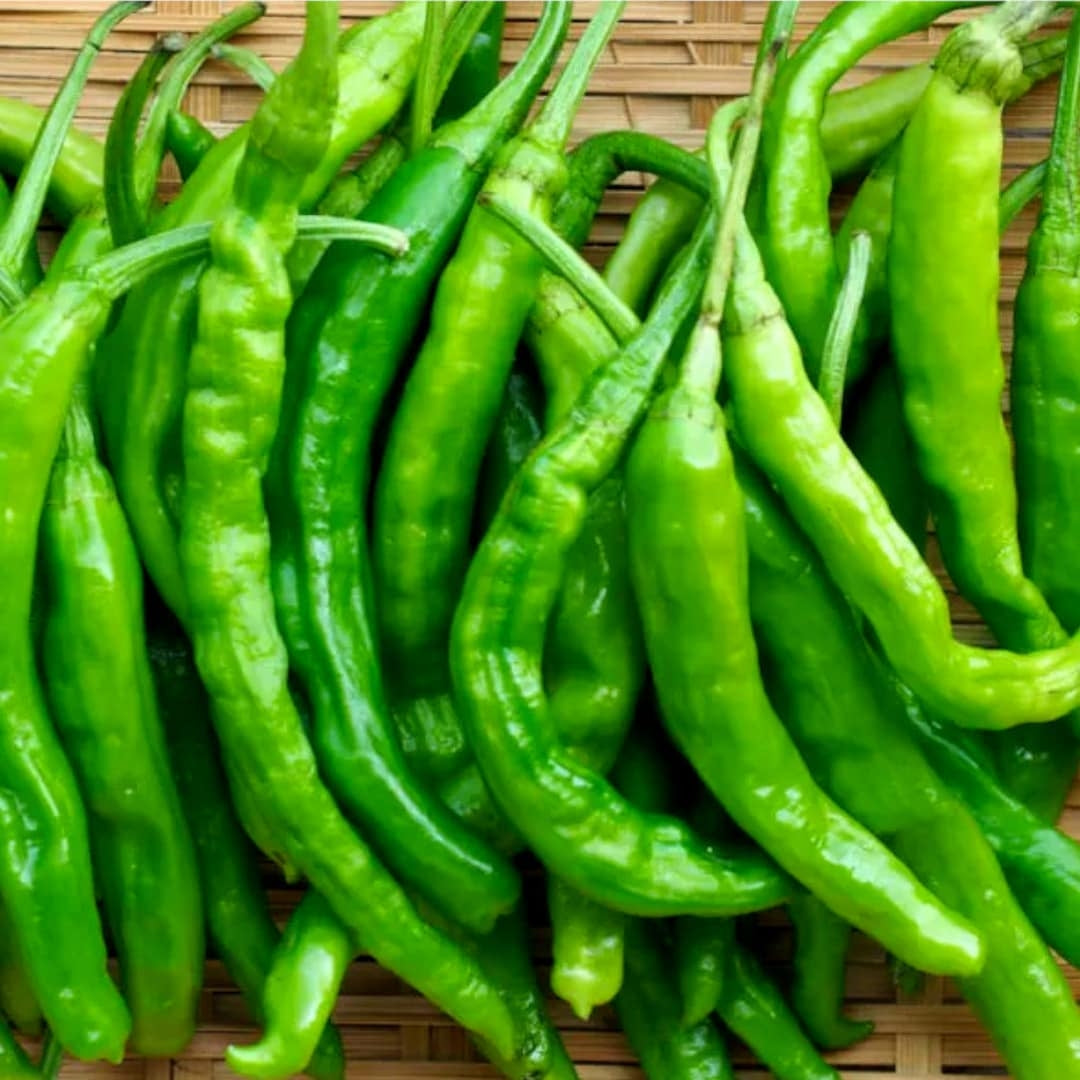 Sili Labuyo Seeds 50pcs Repacked – Super Hot Chili Pepper, Fast Growin ...