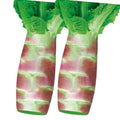 Red Asparagus Lettuce Seeds – 500 pcs (Repacked) | Fast Growing, High Yield, Easy to Grow