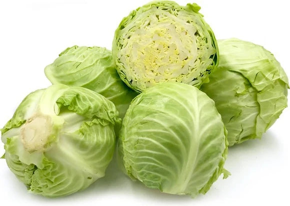 Repolyo Green Seeds 300 PCS | Cabbage Vegetable | Fast Growing | Home ...