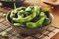 Soybean Edamame (Soya Beans) Seeds – 40 Seeds | Nutritious, High-Yield