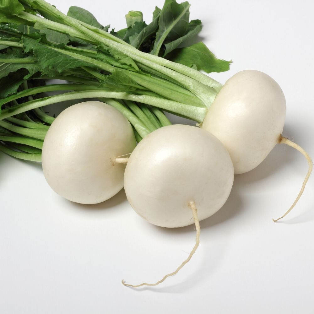 Round White Radish (Labanos) Seeds – 100 pcs (Repacked) | Fast Growing ...