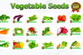 Easy to Grow VEGETABLES SEEDS, REPACK, Fast Germination rate, Premium Quality Available Pechay, Okra, Talong, Kangkong, Tomato, Sitaw .Etc.