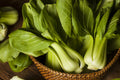 Bok Choy Seeds – 1000 Seeds | Crisp, Tender, High-Yield Vegetable