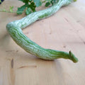 Snake Gourd Seeds 5pcs (Patola Haba) – High Yield, Fast Growing Climbing Vegetable Seeds