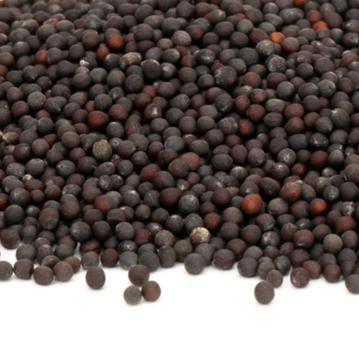 White Pechay Seeds 500pcs Repacked – Fast Growing, High Yield, Easy to ...