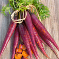 Cosmic Purple Carrot Seeds 300pcs Repacked – Fast Growing, High Yield, Easy to Grow Root Vegetable Seeds