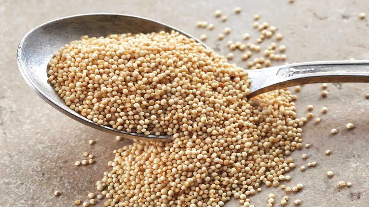 Green Amaranth Kulitis Seeds 2500pcs Repacked – Fast Growing, High Yie ...