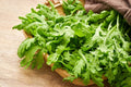 Small Leaf Garland Seeds – 500 pcs (Repacked) | Fast Growing | High Yield | Easy to Grow