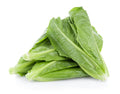Parris Island Cos Romaine Lettuce Seeds – 500 pcs (Repacked) | Fast Growing, High Yield, Easy to Grow